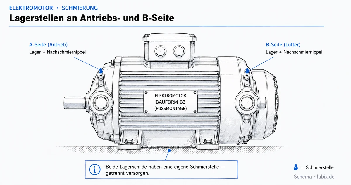 Schmierstellen an der Antriebsseite und Nichtantriebsseite eines Industrie-Elektromotors