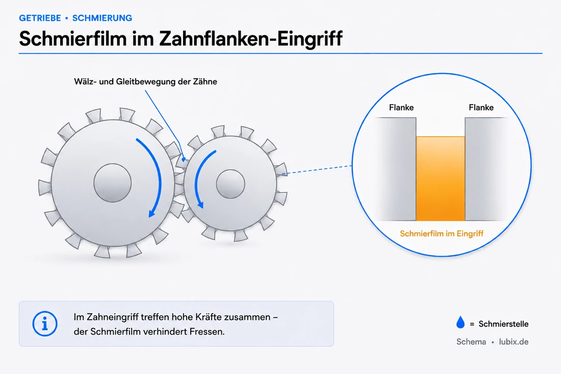 Schmierfilm zwischen den Zahnflanken im Verzahnungseingriff eines Getriebes