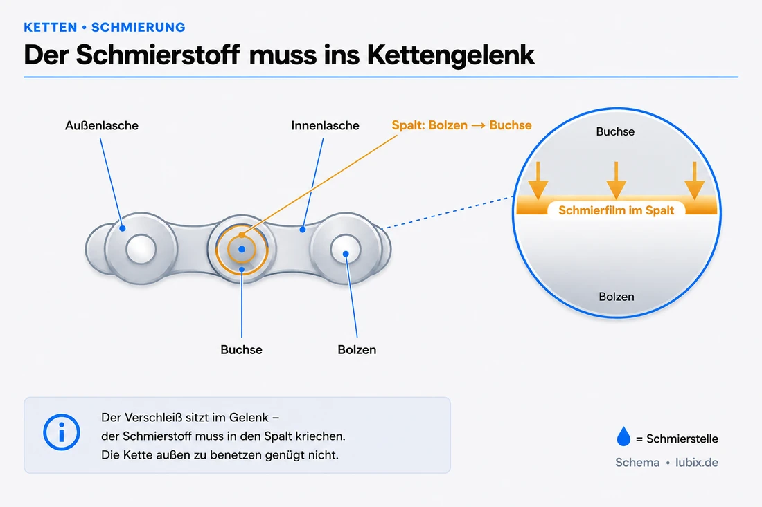 Schnitt durch ein Rollenketten-Gelenk: der Schmierstoff muss in den Spalt zwischen Bolzen und Buchse kriechen