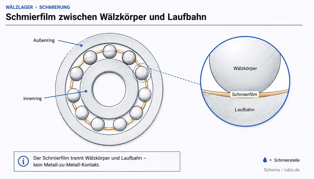 Schmierfilm trennt Wälzkörper und Laufbahn in einem Wälzlager — Detailansicht